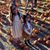 Hailey Wells's profile image