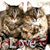 Valerie Hess-Cevallos's profile image