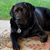 Gary Eidell's profile image