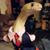 David Perry's profile image