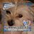 Patricia Bogedin-evans's profile image