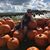Kimberly Staggs Keast's profile image