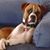 Gill Sanchez's profile image