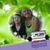 Kristi Pennel's profile image