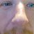 Gunner Pants's profile image