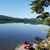 Linda Neuman Sims's profile image