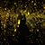 Gisela Giolafina's profile image