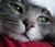 mary S.'s profile image