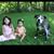 Naomi DaPaz Ribeiro's profile image