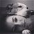 Camille McCarthy's profile image