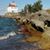 Sharon Reeves's profile image