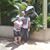 Amy Chiodo Sandrowitz's profile image