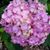 Jackie Perkins Jadrich's profile image