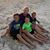 Pam Norrell Clark's profile image