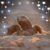 Terri DeBolt's profile image