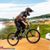 Stephanie Contino's profile image