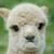 Pamala Lyn Lawson's profile image