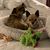 Craig N Aprill Campbell's profile image