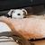 Barb Walden Bev Ciraulo's profile image