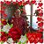 Sandra Zajac's profile image