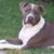 Teri Cash's profile image
