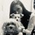 Rose Gittelman's profile image