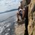 Georgy Djenev's profile image