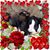 Sandra Kelley's profile image