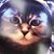 Sandra Milnes's profile image