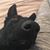 Lynne Boyd Almstrom's profile image