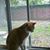 Sheila MacDonell's profile image