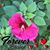 Maria Bustamante's profile image