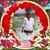 Lois Kier's profile image