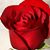 Cindy Dittman's profile image