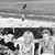 Michele Lachance's profile image