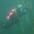 Susan Roose's profile image