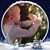 Kristiana Steven Rien's profile image