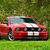 Brian Middaugh's profile image