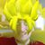 Gage Bowls's profile image