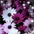 Donna Lynn Tabers Brown's profile image