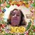 Melanie Butler Smith Gill's profile image