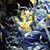 Lynda Kutrich's profile image
