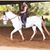Linda Helin's profile image