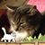 Marie Watterlond's profile image