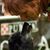 Lisa Millner Suttner's profile image