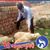 Md Alom Miya's profile image