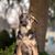 Michelle D. Wallis's profile image
