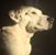 Margie Roberts Tennant's profile image