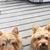 Kathy Batten's profile image