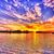 Christine Potter Steller's profile image
